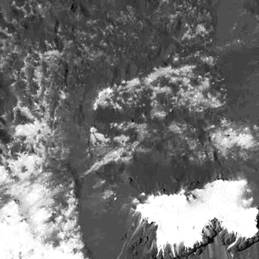 Une image contenant arbre, extrieur, photo

Description gnre automatiquement